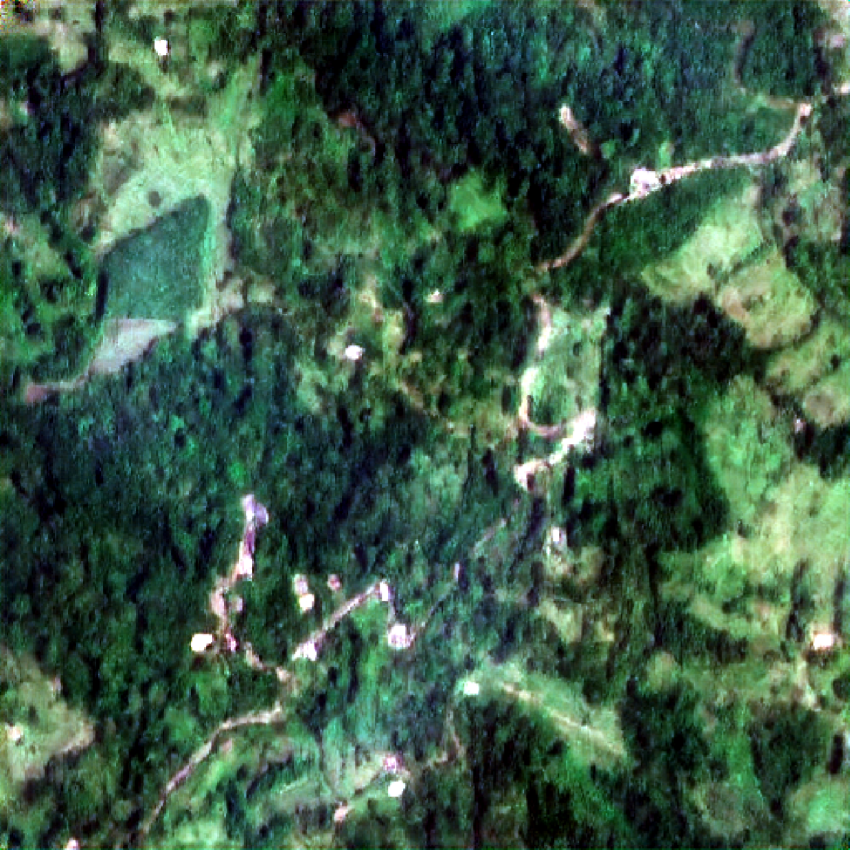 Imagen satelital de puerto en alta resolucion